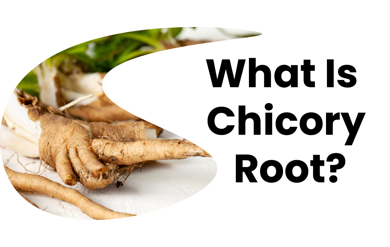 Chicory Root Coffee