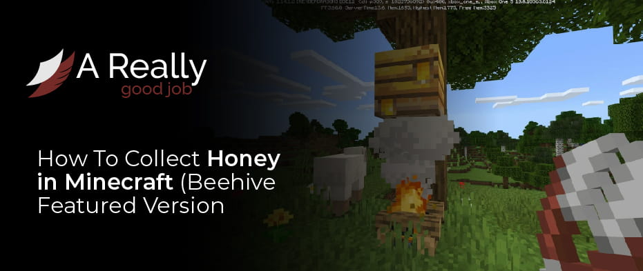 How to Collect Honey in Minecraft